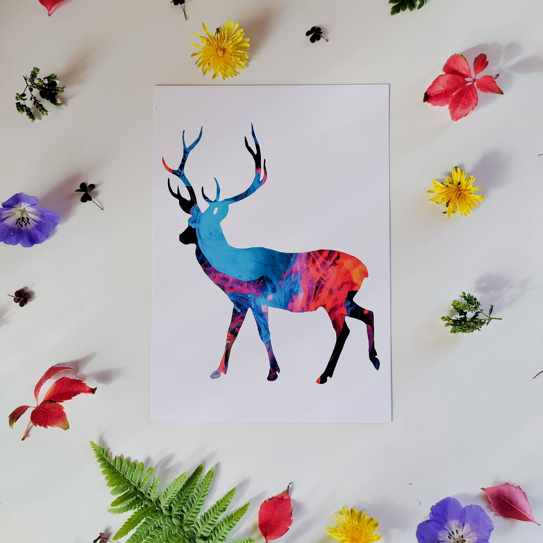 king of the woods a5 print
